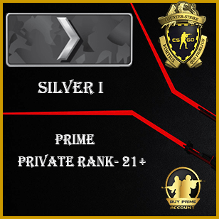Cheap CSGO Accounts silver 1