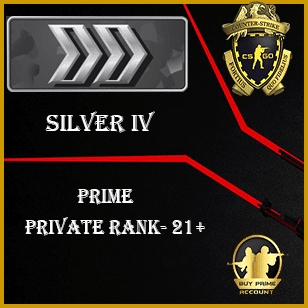 Silver 4