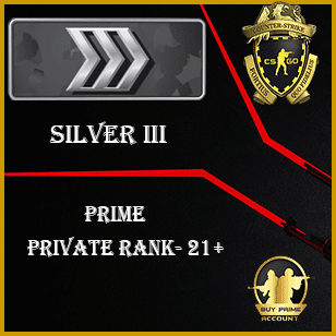silver 3