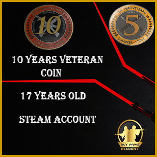 Exclusive 10 Years Veteran Coin