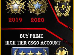 Buy CSGO High Tier Accounts gn3 347wins