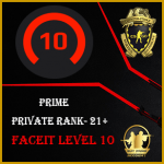 buy level 10 faceit Account