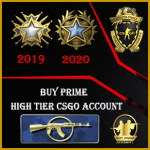 Buy CSGO High Tier Accounts mg1 249wins